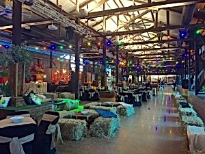Cairns Cruise Liner Terminal