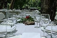 barron-river-luncheon-long-view
