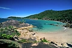 dorilla-beach-bedarra-island