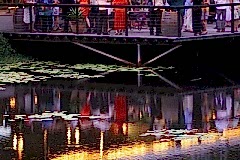 vertical-party-scene