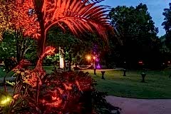 botanic-gardens-lighting