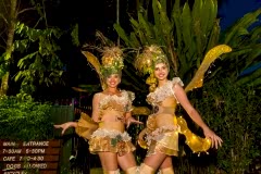 smbotanic gardens fairies