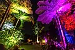 smbotanic gardens trees
