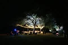Laloli-by-night-