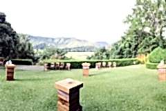 Laloli-front-garden-