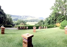smlaloli-front-garden